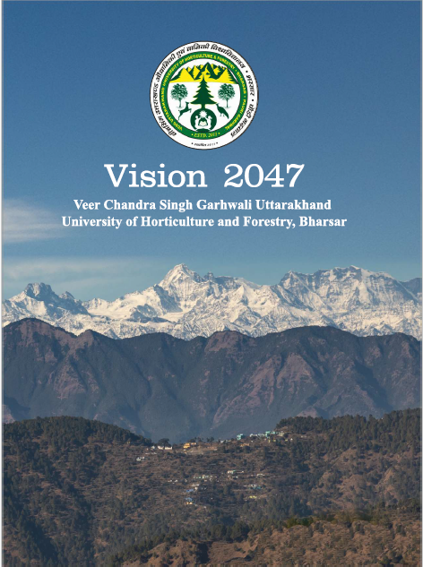 Vision 2047