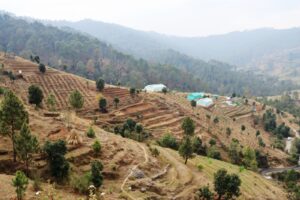 Agriculture Minister visits IMAP Gairsain